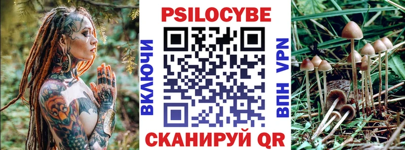 Галлюциногенные грибы Psilocybe Берёзовка